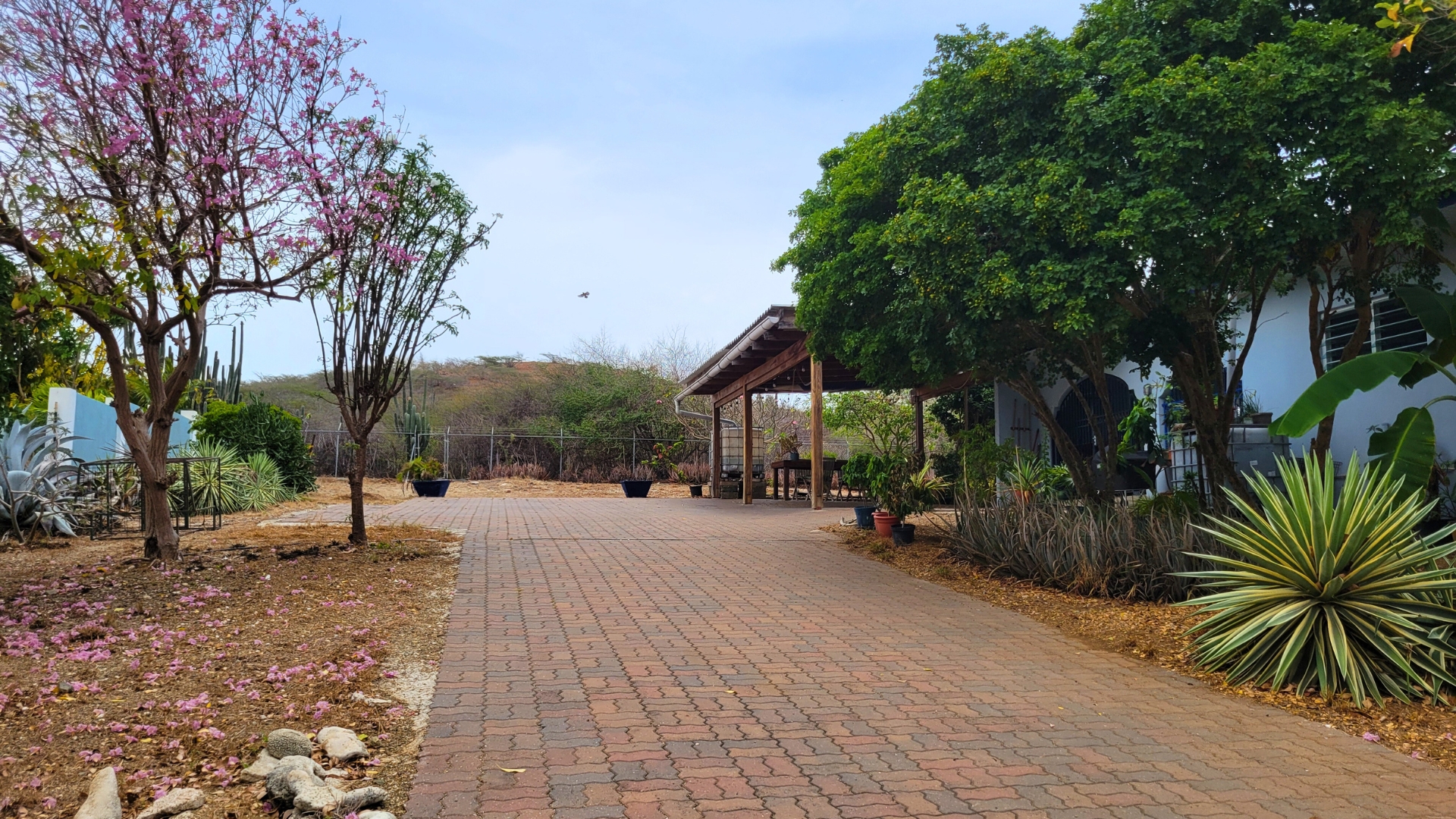 Scenic outdoor pathway lined with flowering trees and greenery, featuring a wooden pavilion and various plants, showcasing a tranquil environment.