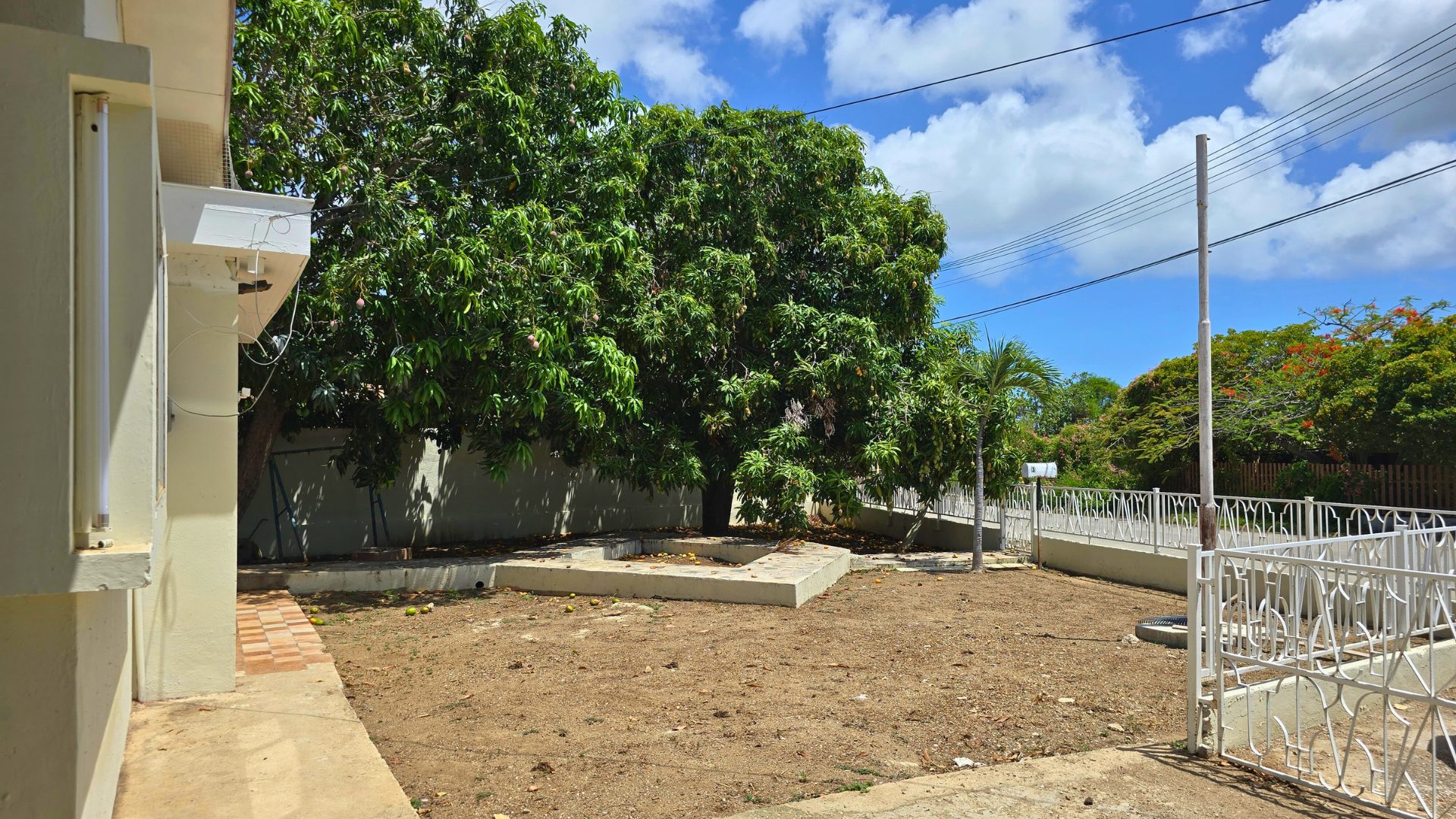 Spacious yard with mature trees and open ground